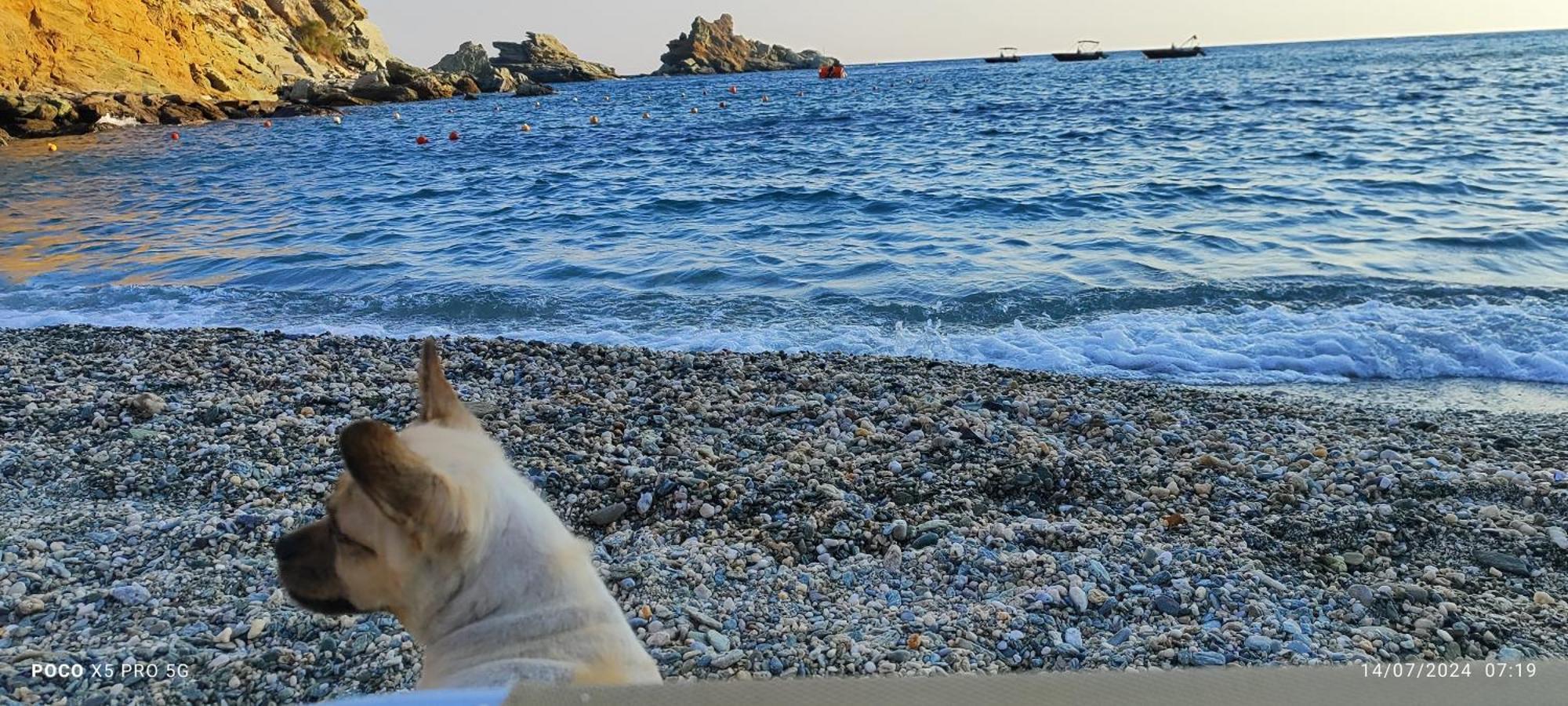 Mades Magic Place Agia Pelagia Zewnętrze zdjęcie